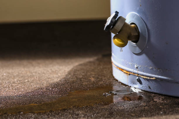 Best Flooded house restoration  in Gulfport, FL