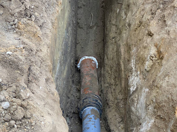 Best Flood restoration services  in Gulfport, FL
