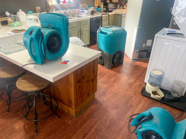 Water damage restoration process in Gulfport, FL