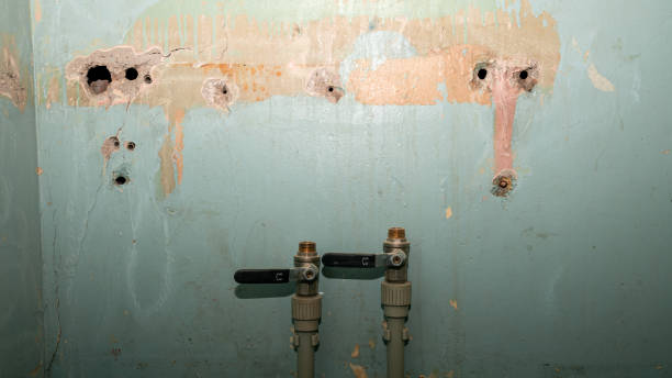 Best Commercial water damage restoration  in Gulfport, FL