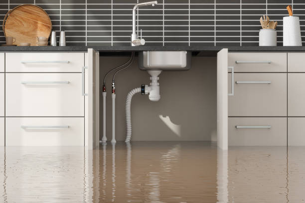 Best 24/7 water damage repair  in Gulfport, FL