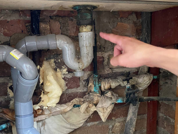 Best Water damage restoration near me  in Gulfport, FL