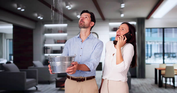 Best 24-hour water damage restoration  in Gulfport, FL