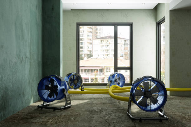 Best Water damage restoration insurance claims  in Gulfport, FL